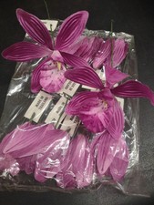 12 Stems 1970s Vintage Silk