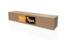 HabiStat Bearded Dragon