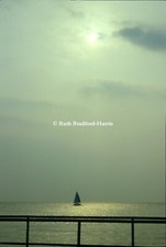 Yacht Boat Poole Harbour Photo