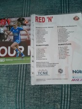 SUNDERLAND LADIES V BIRMINGHAM CITY LADIES ( SUNDAY 14TH SEPTEMBER 2025 )