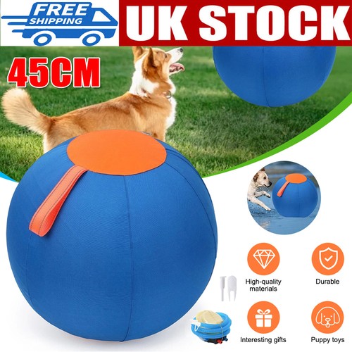 Herding ball anti burst horse - ball,