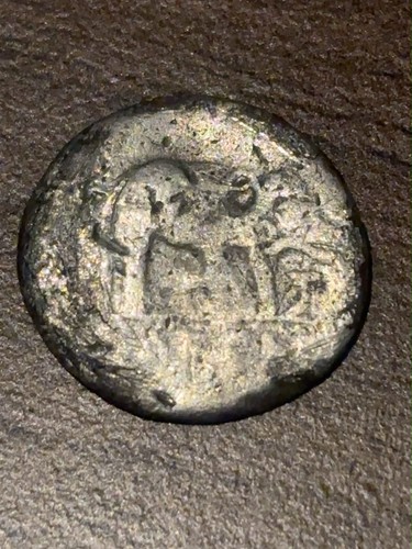 Julius caesar elephant - julius,