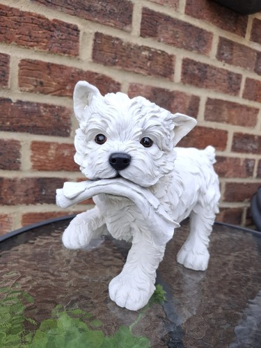 West highland white terrier - west,