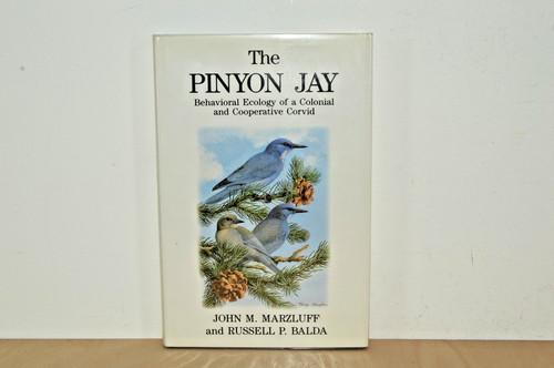 The pinyon jay - pinyon,