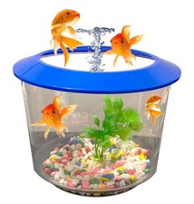 Goldfish Bowl Strater Set Gold Fish Bowl with Ornamental Plant Fish Bowl (BLUE)