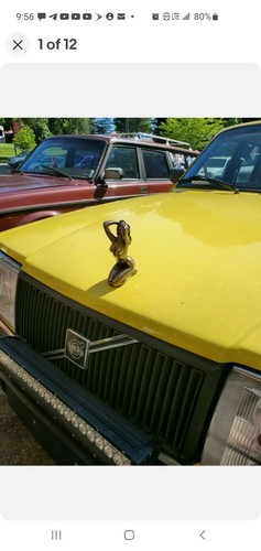 Rare hood ornament - hood, rat