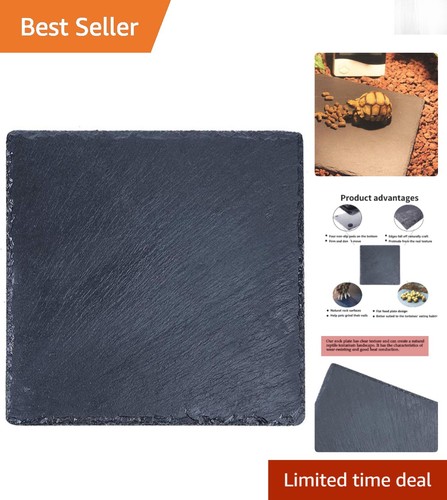 Durable tortoise slate habitat - tortoise,