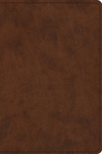 Esv study bible personal size - bible,,