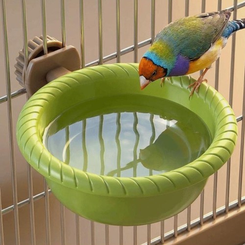 Bird water bath tub - water, pet