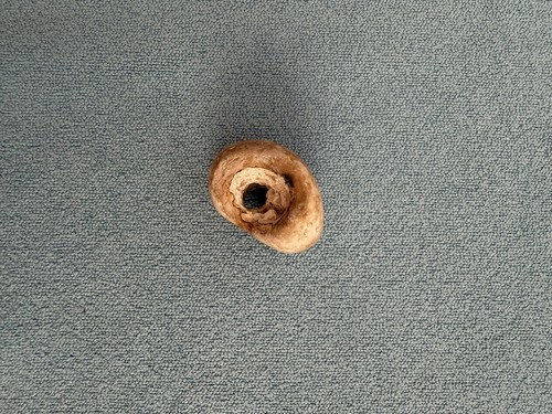 Natural hag stone - stone, holey