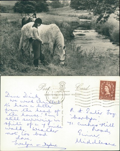 Horses handlers grazing by - horses, &