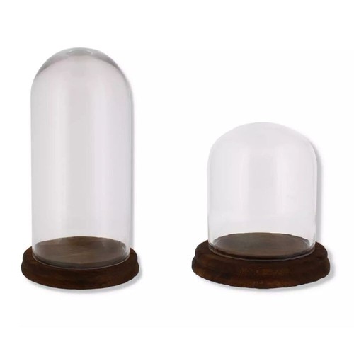 Glass display dome bell - dome,