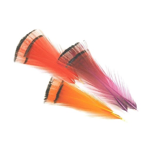 Veniard golden pheasant - pheasant, tippet