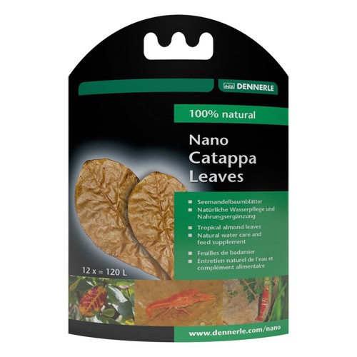 Dennerle nano catappa - nano, x