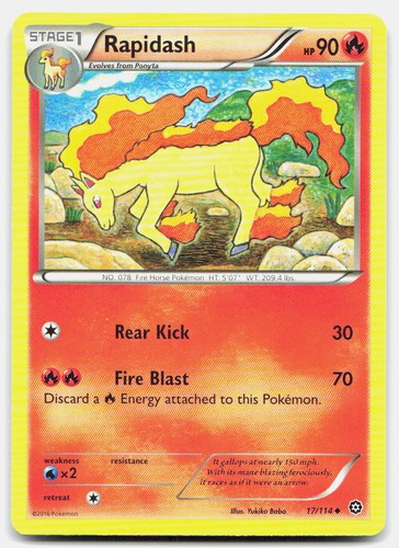 Rapidash 114 xy - en, 17/114