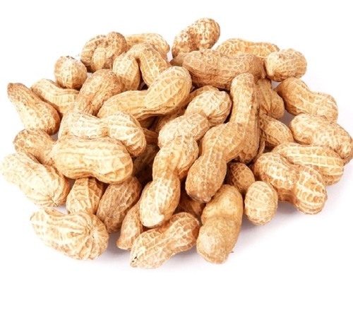 Monkey nuts - nuts,