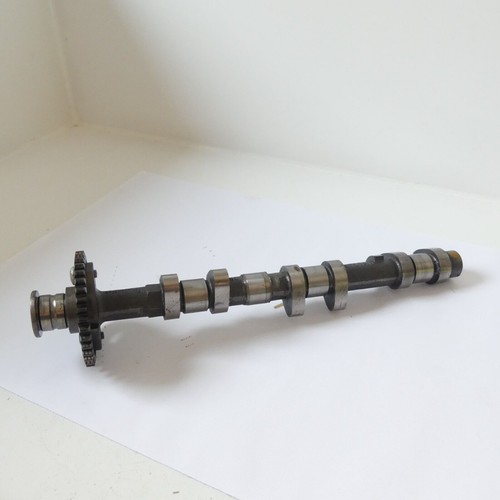 Genuine triumph daytona 955i - triumph,