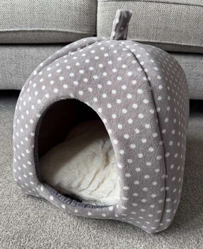 Unused pets home cat - pets,