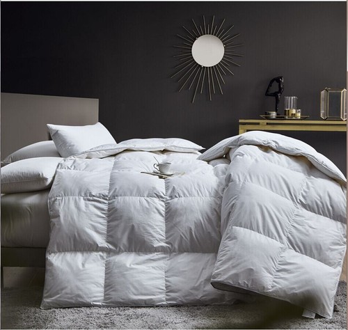 Goose feather down quilt - feather, 13.5