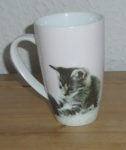 Cute grey black - grey/black, tabby