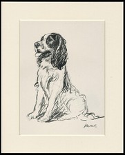 ENGLISH SPRINGER SPANIEL 1937 DOG ART PRINT by MAC LUCY DAWSON READY MOUNTED