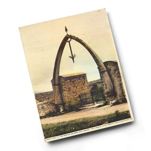 Print vintage scotland - -,
