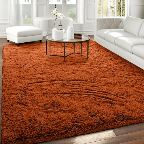 Thick large shaggy rugs non - thick,
