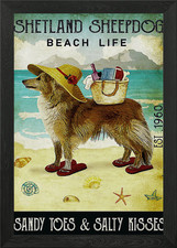 Shetland Sheepdog Framed Wall