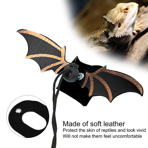 Lizard leash bearded dragon - leash,
