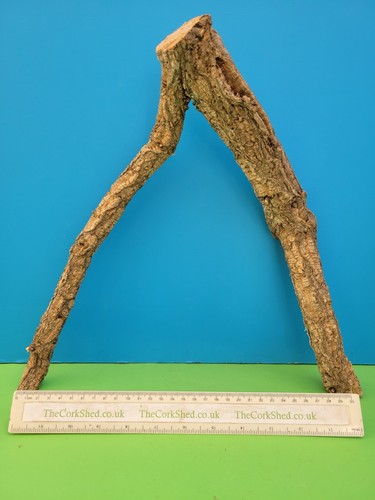 Cork bark branch 36cm - bark,