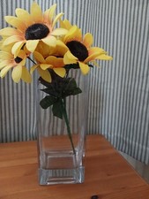 Rectangular Heavy Glass Vase