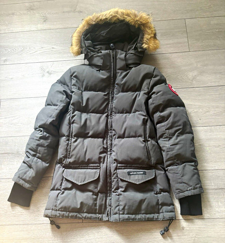 Canada goose adelis solaris - goose,