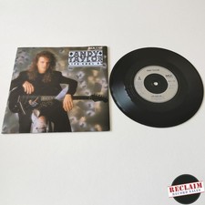 andy taylor - life goes on 7"