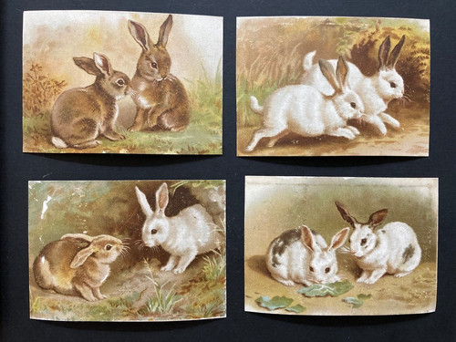 Rabbit bunnies small - , victorian