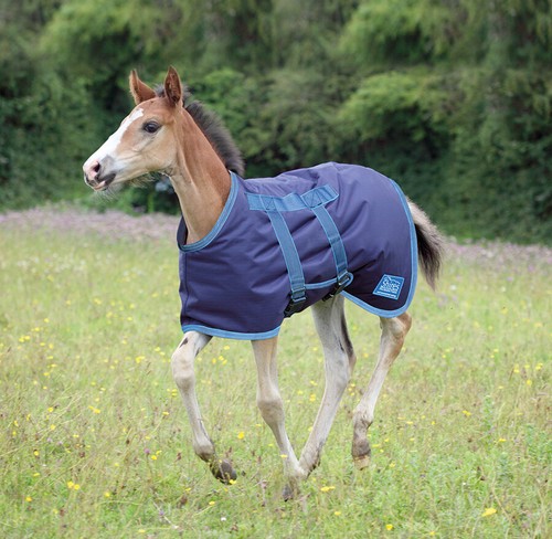 Shires highlander foal rug all - rug,