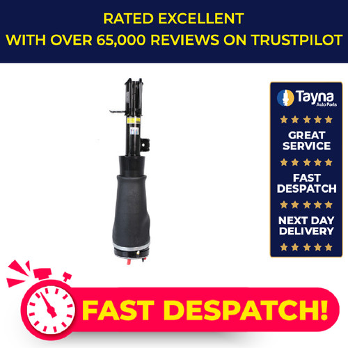 Air strut front - strut, left