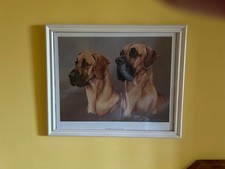 Great Dane Print - Vic Granger