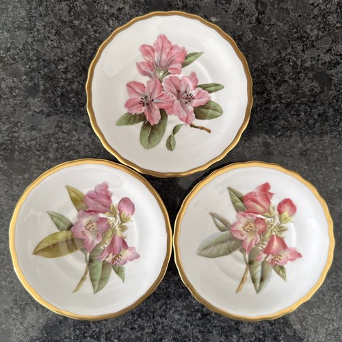Spode rhododendron saucers - 3,