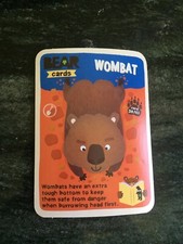 Bear Yoyo Cards - Animals