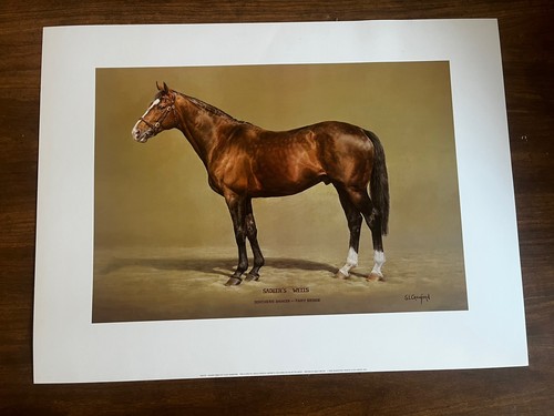 Horse racing print sadlers - racing,