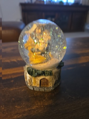 Water snow globe nativity - snow,