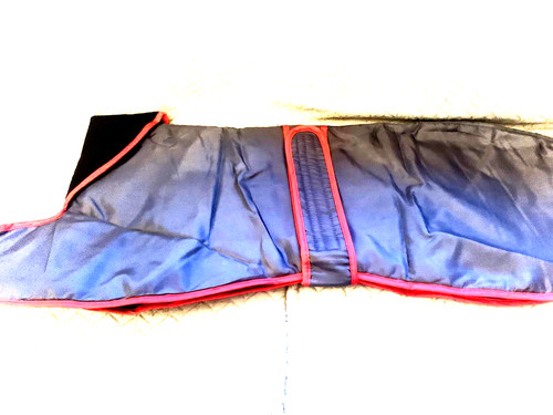 Greyhound waterproof walking - greyhound,
