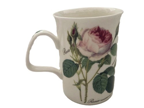 Roy kirkham redoute roses - roy,