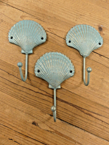 Scallop sea shell - 3,