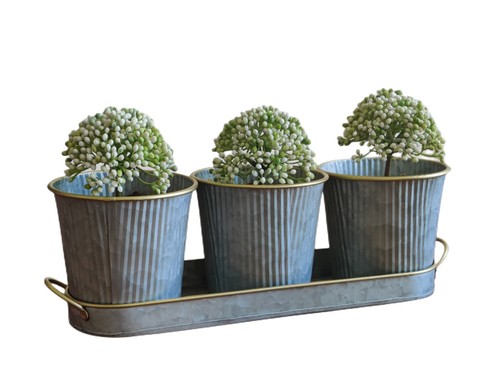 Dipamkar windowsill herb - windowsill,
