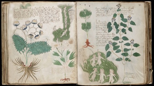 The voynich manuscript usb - manuscript,