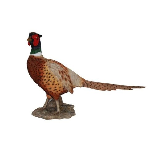 Vivid arts 52cm - arts, pheasant