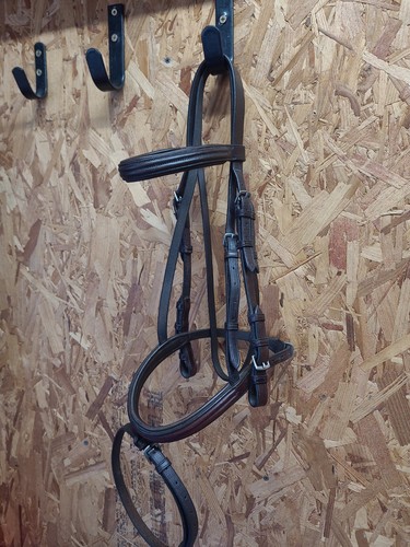 English leather flash - english, bridle