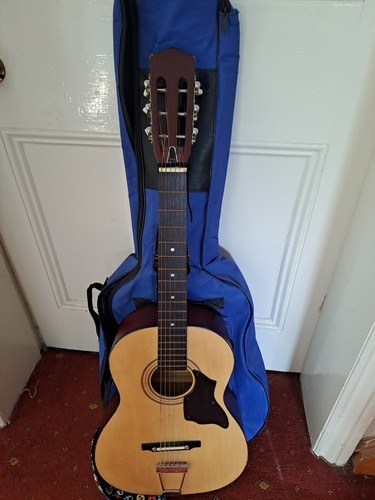 Guitar and carry case used - and,