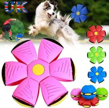 Doggie Disc Ball with Lights